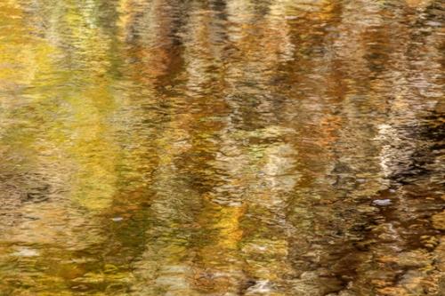 Abstract;Abstraction;Autumn;Blue Ridge Parkway;Brown;Fall;Fallen;Fallen Leaves;Gold;Leaf;North Carolina;Pastoral;Ripple;River;Stream;Tan;Wabi Sabi;Water;Yellow;flowing;leaves;oneness;orange;pattern;peaceful;reflection;reflections;texture;zen